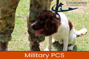 military PCS dog shipper | pet transport | pet relocation