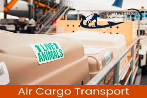 Pawpaws Express | pet relocation | dog shipper | pet transport | air cargo | international