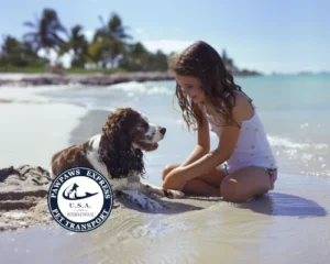 Luci at Home | Nationwide private pet transportation by ground
